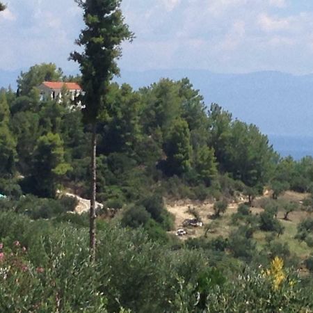 Villa Nadia Vounária エクステリア 写真